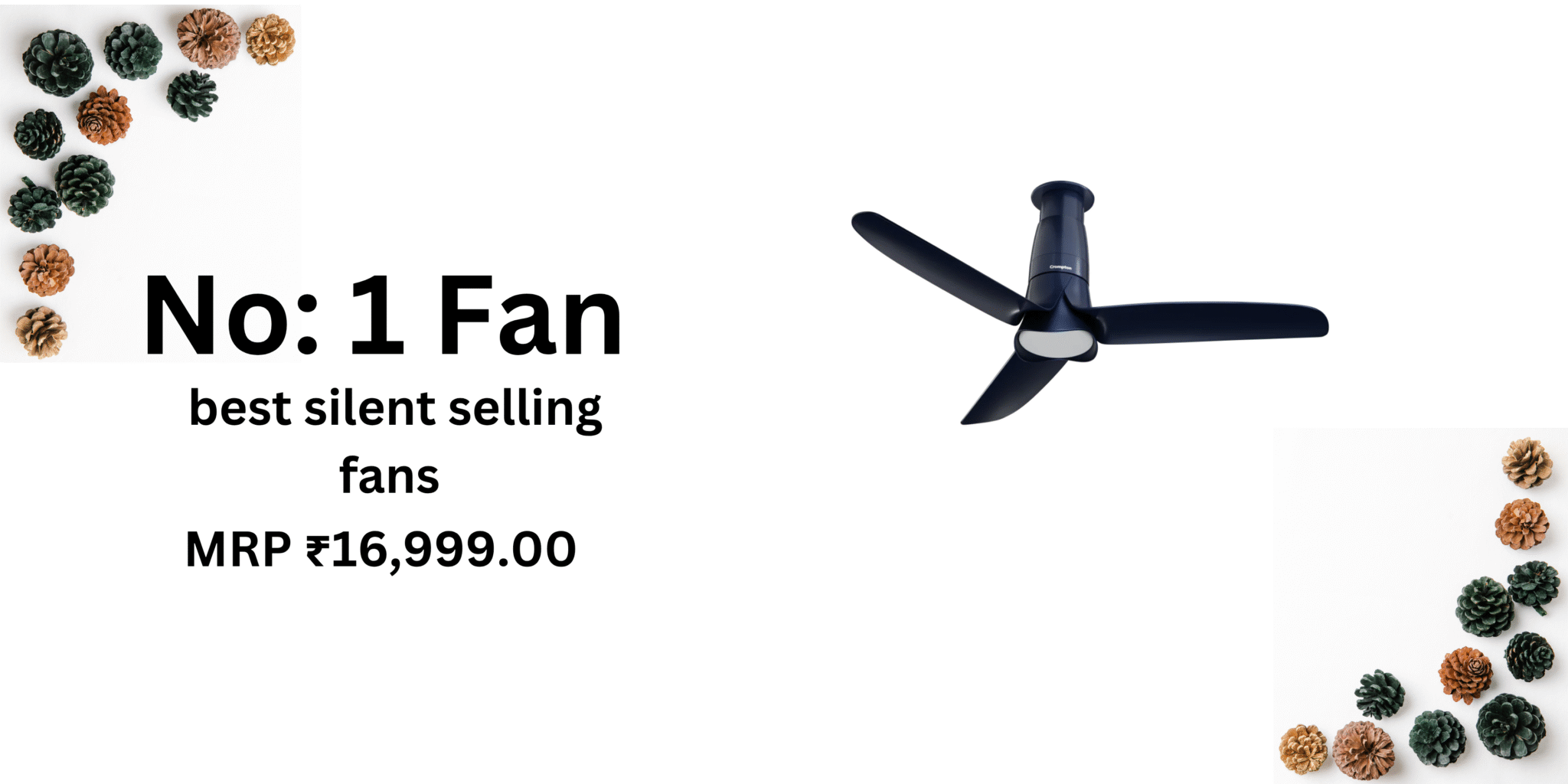 No 1 Fan